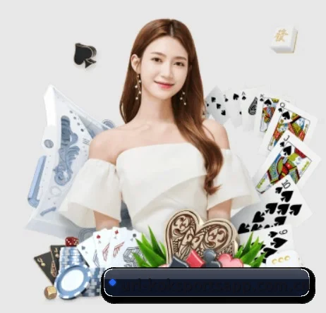 kok体育平台 APP